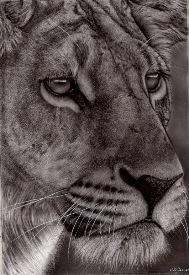 2023-0619-03-素描 (5).JPG