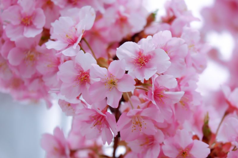 2023-0406-01 (7).jpg