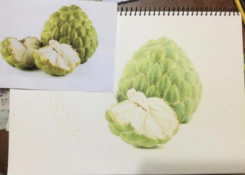 2023-0610-01-色鉛筆 (15).JPG