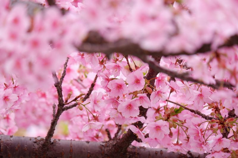 2023-0406-01 (23).jpg