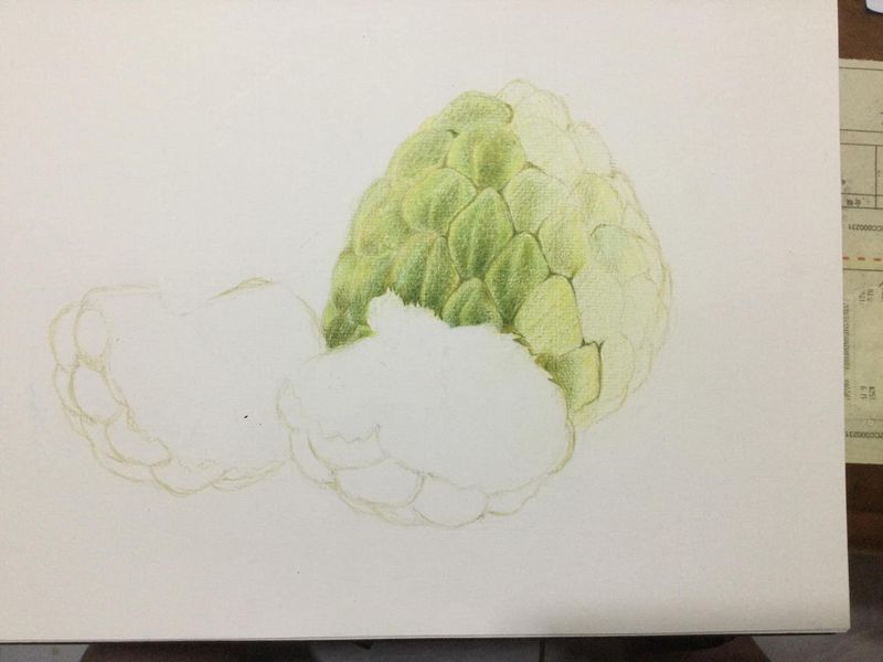 2023-0610-01-色鉛筆 (14).JPG