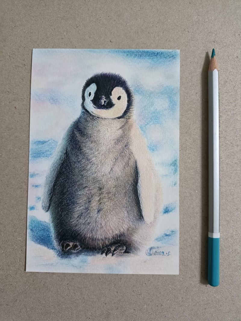 2023-0610-01-色鉛筆 (16).JPG