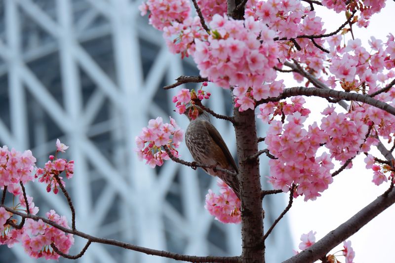 2023-0406-01 (12).jpg