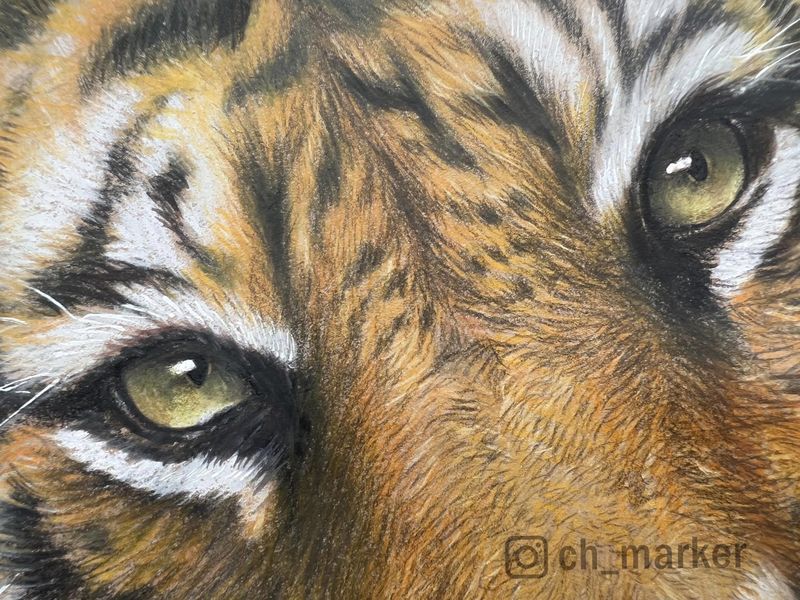 2023-0501-05-色鉛筆 (3).jpg