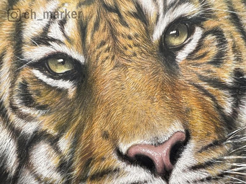 2023-0501-05-色鉛筆 (2).jpg