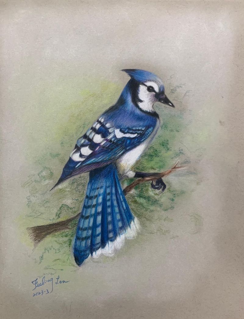 2023-0414-色鉛筆 (10).JPG