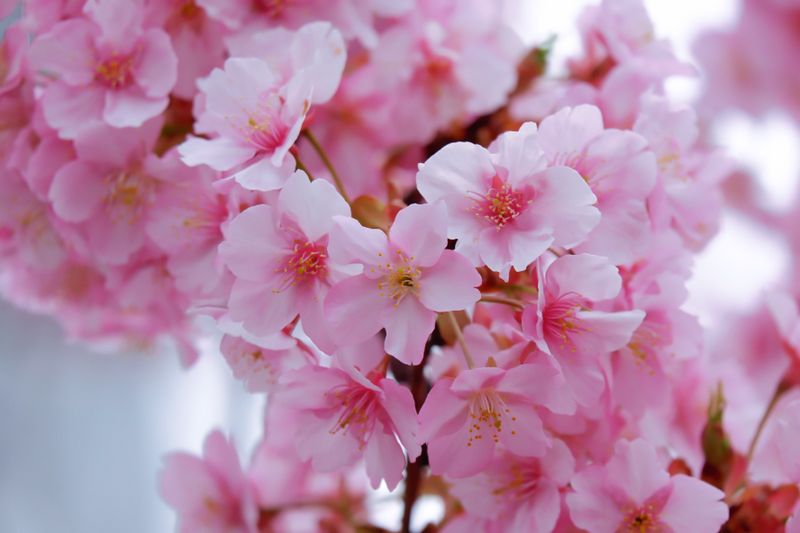 2023-0406-01 (30).jpg