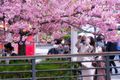 於 2023年4月6日 (四) 08:47 版本的縮圖