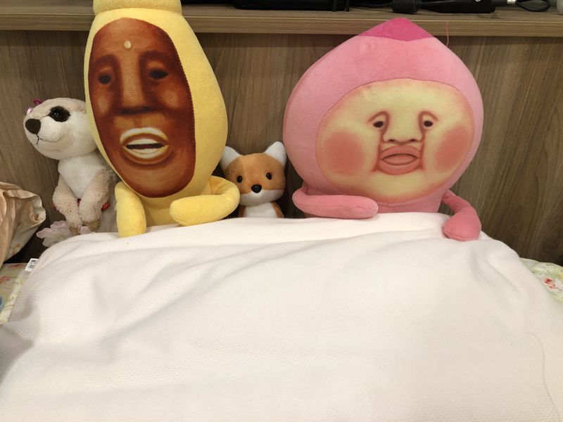 檔案:2021-0812-01.JPG
