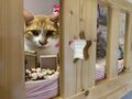 於 2025年3月5日 (三) 06:32 版本的縮圖