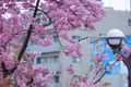 於 2023年4月6日 (四) 08:55 版本的縮圖