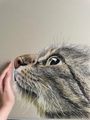於 2023年6月10日 (六) 02:46 版本的縮圖