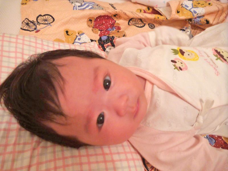 檔案:2012-1101-01.jpg