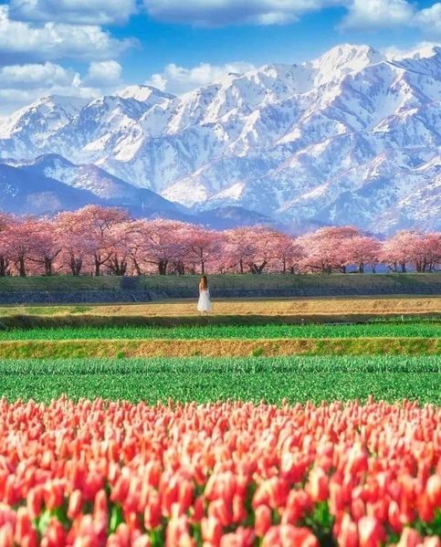 檔案:2023-0409-富山縣朝日市.jpg