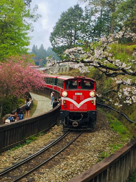 檔案:2023-0417-09-阿里山沼平車站.jpg