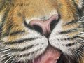於 2023年5月1日 (一) 10:38 版本的縮圖