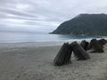 於 2022年6月12日 (日) 06:15 版本的縮圖