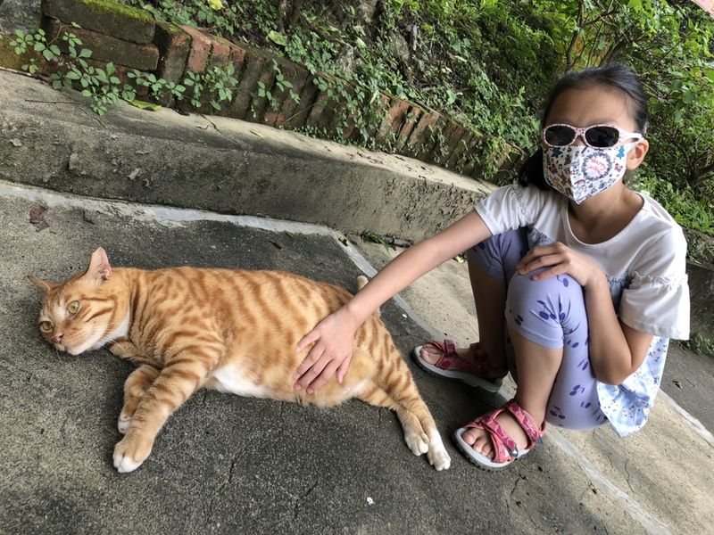 檔案:2022-0617-01.jpg