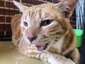 於 2023年8月21日 (一) 09:57 版本的縮圖
