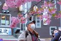 於 2023年4月6日 (四) 09:01 版本的縮圖