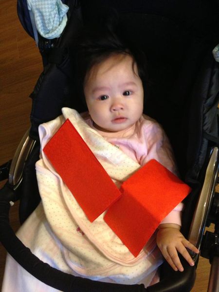 檔案:2013-0215-01.jpg