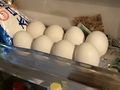 於 2023年3月13日 (一) 08:18 版本的縮圖