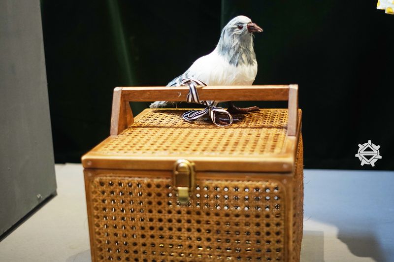 檔案:張薏心周邊物品 (30).jpg