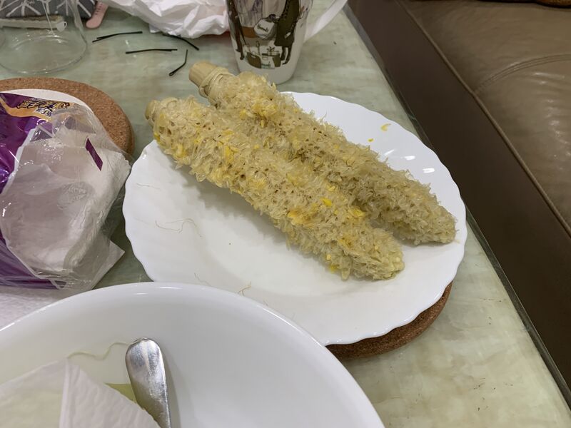 檔案:2025-0123-02.JPEG