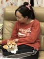 於 2023年3月26日 (日) 05:22 版本的縮圖