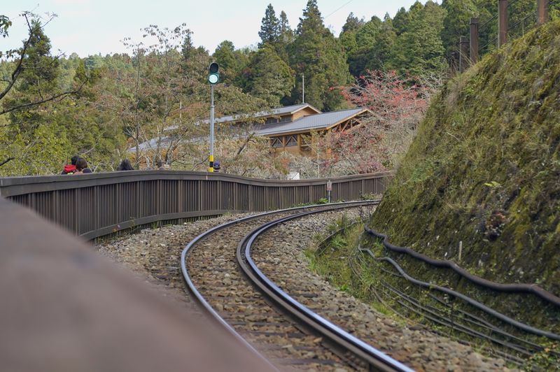 檔案:2021-1127 (15).jpg