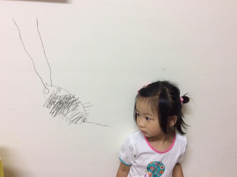 檔案:2015-0806-01.jpg
