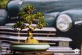 於 2022年1月28日 (五) 07:01 版本的縮圖